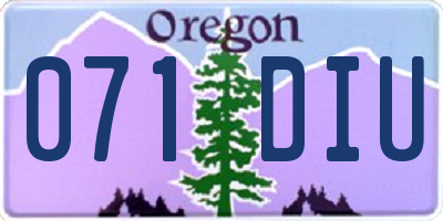 OR license plate 071DIU
