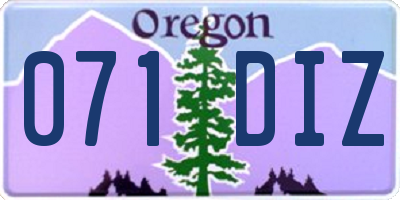 OR license plate 071DIZ