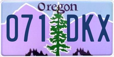 OR license plate 071DKX