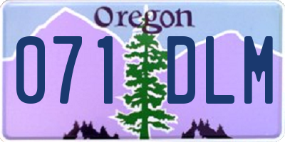 OR license plate 071DLM
