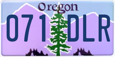 OR license plate 071DLR