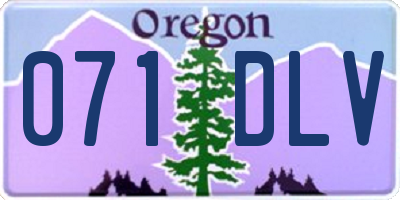 OR license plate 071DLV