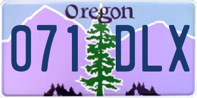 OR license plate 071DLX
