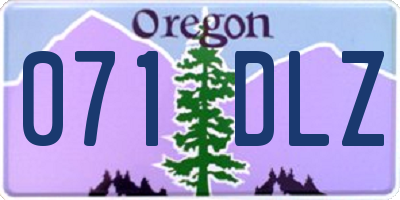 OR license plate 071DLZ