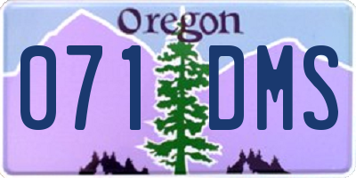 OR license plate 071DMS