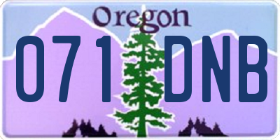 OR license plate 071DNB