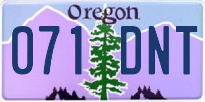 OR license plate 071DNT