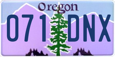 OR license plate 071DNX
