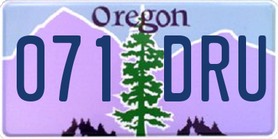 OR license plate 071DRU
