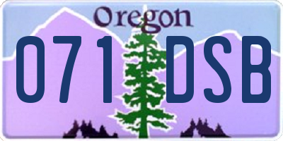 OR license plate 071DSB