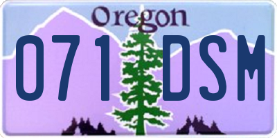OR license plate 071DSM