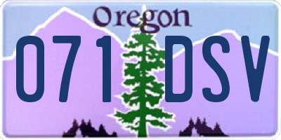 OR license plate 071DSV