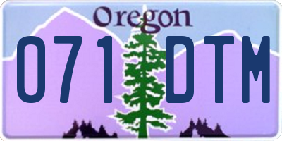 OR license plate 071DTM