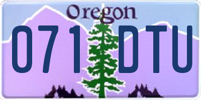 OR license plate 071DTU