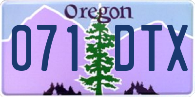 OR license plate 071DTX