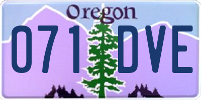 OR license plate 071DVE