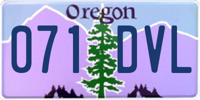 OR license plate 071DVL