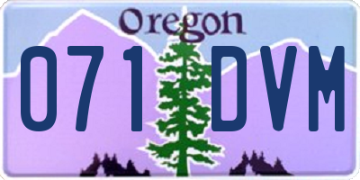 OR license plate 071DVM