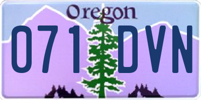 OR license plate 071DVN