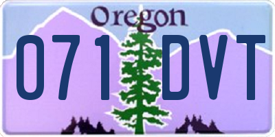 OR license plate 071DVT