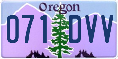 OR license plate 071DVV