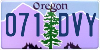 OR license plate 071DVY