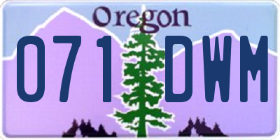 OR license plate 071DWM