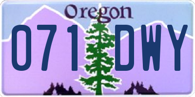 OR license plate 071DWY