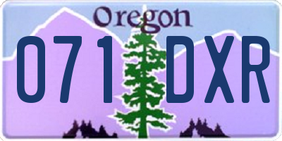 OR license plate 071DXR