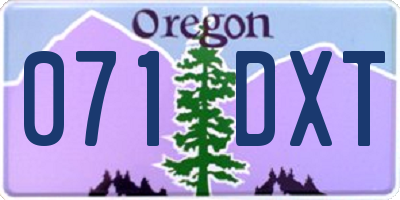 OR license plate 071DXT
