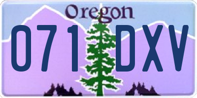 OR license plate 071DXV