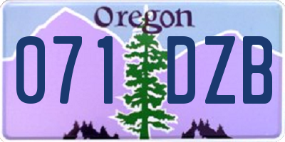 OR license plate 071DZB