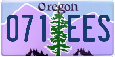 OR license plate 071EES