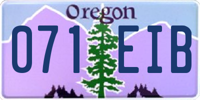 OR license plate 071EIB