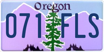 OR license plate 071FLS