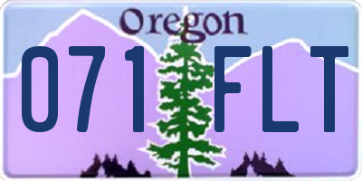 OR license plate 071FLT