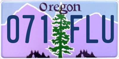 OR license plate 071FLU