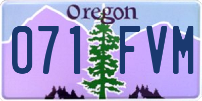 OR license plate 071FVM