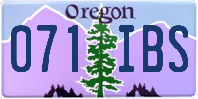 OR license plate 071IBS