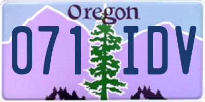 OR license plate 071IDV
