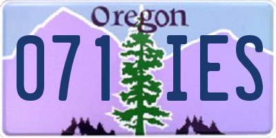 OR license plate 071IES