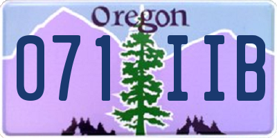 OR license plate 071IIB
