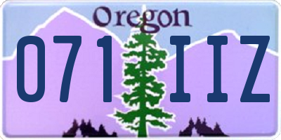 OR license plate 071IIZ