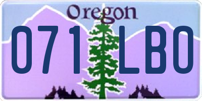 OR license plate 071LBO