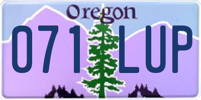 OR license plate 071LUP