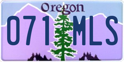 OR license plate 071MLS