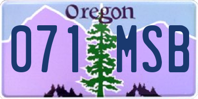 OR license plate 071MSB