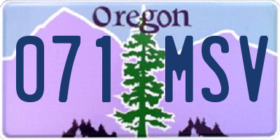 OR license plate 071MSV