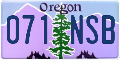 OR license plate 071NSB
