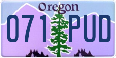 OR license plate 071PUD
